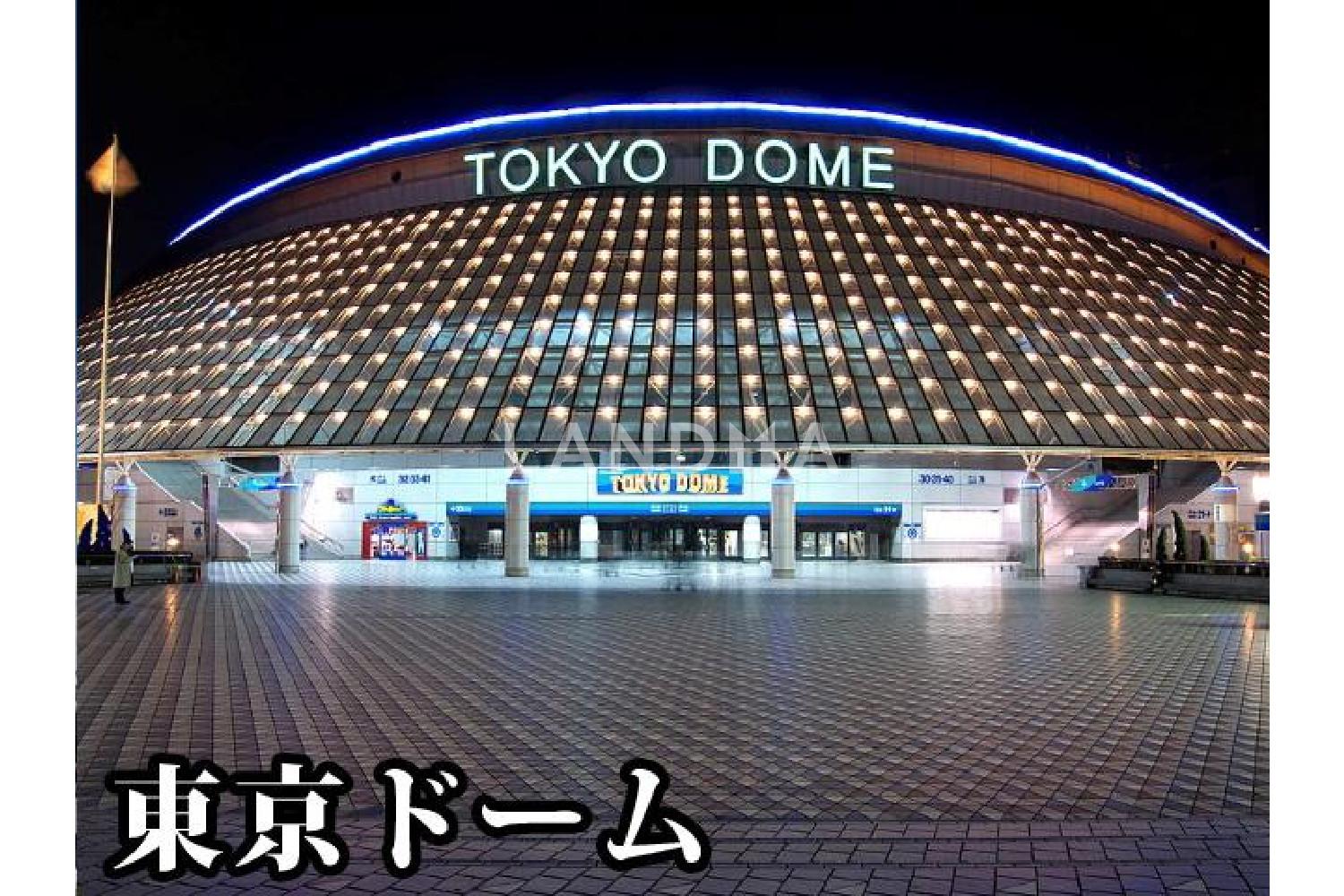 朝日九段 官网图片 2