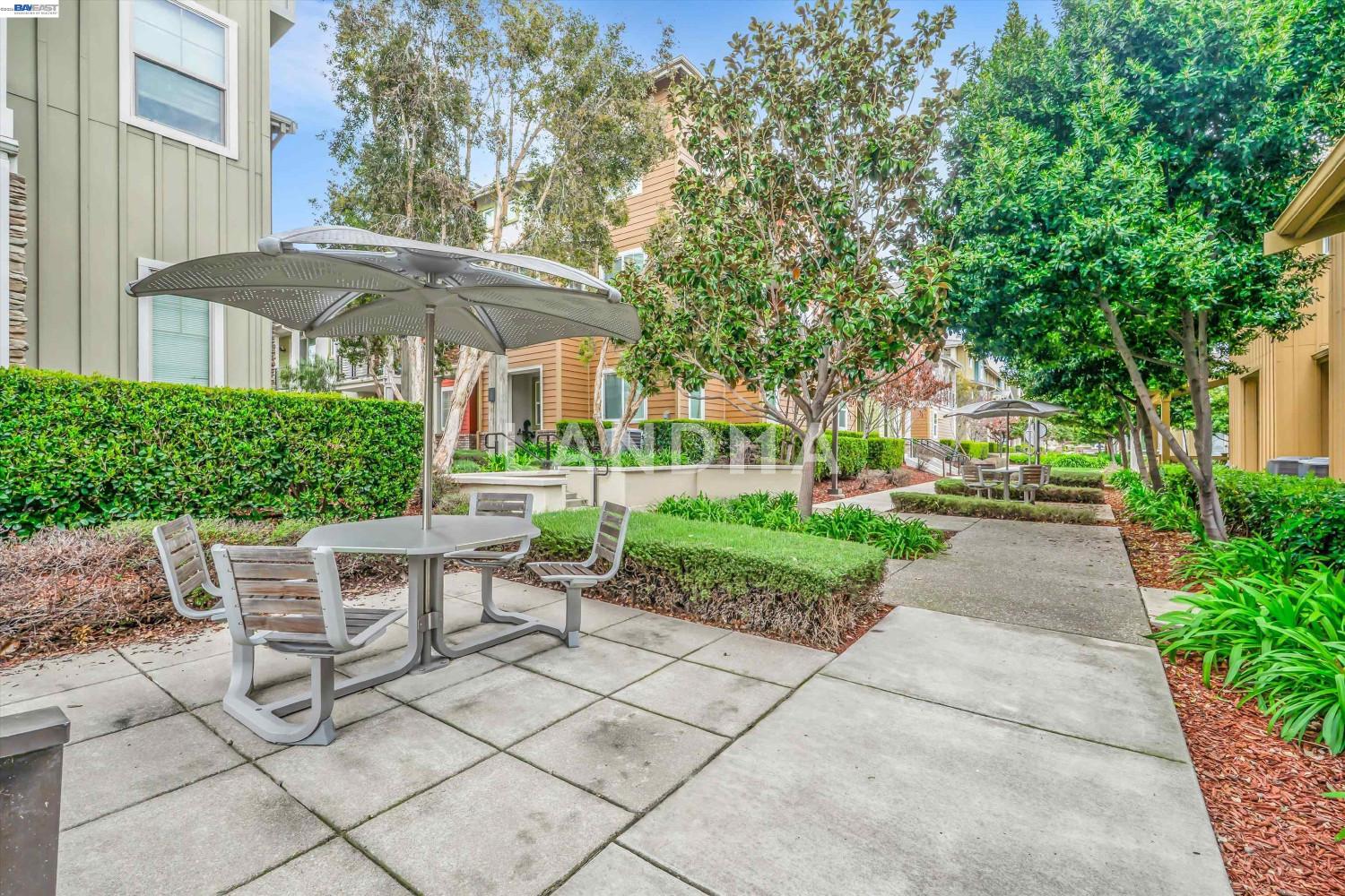 333 Basswood Cmn #14 官网图片 40