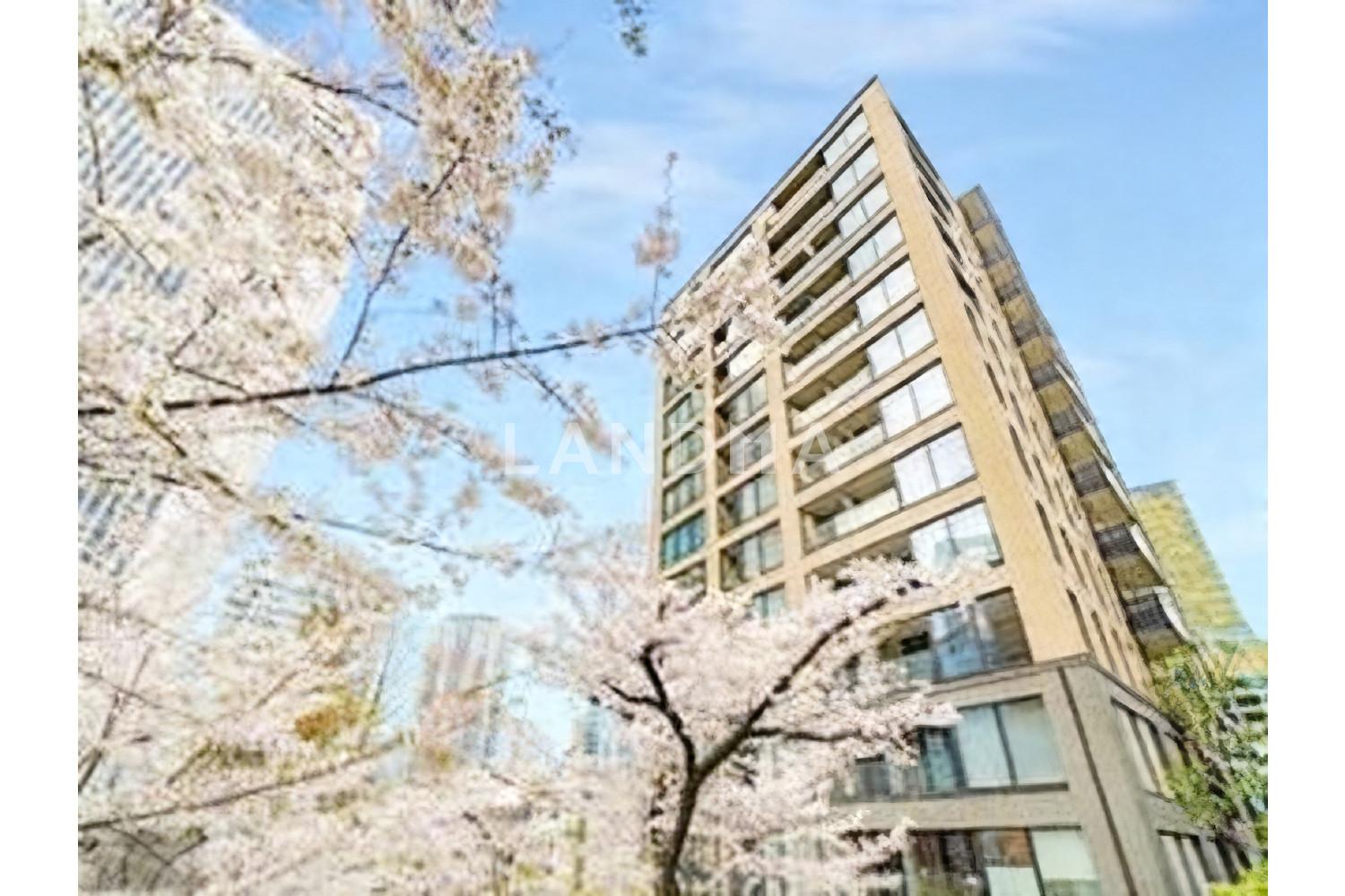 パークコート赤坂桜坂 官网图片 3