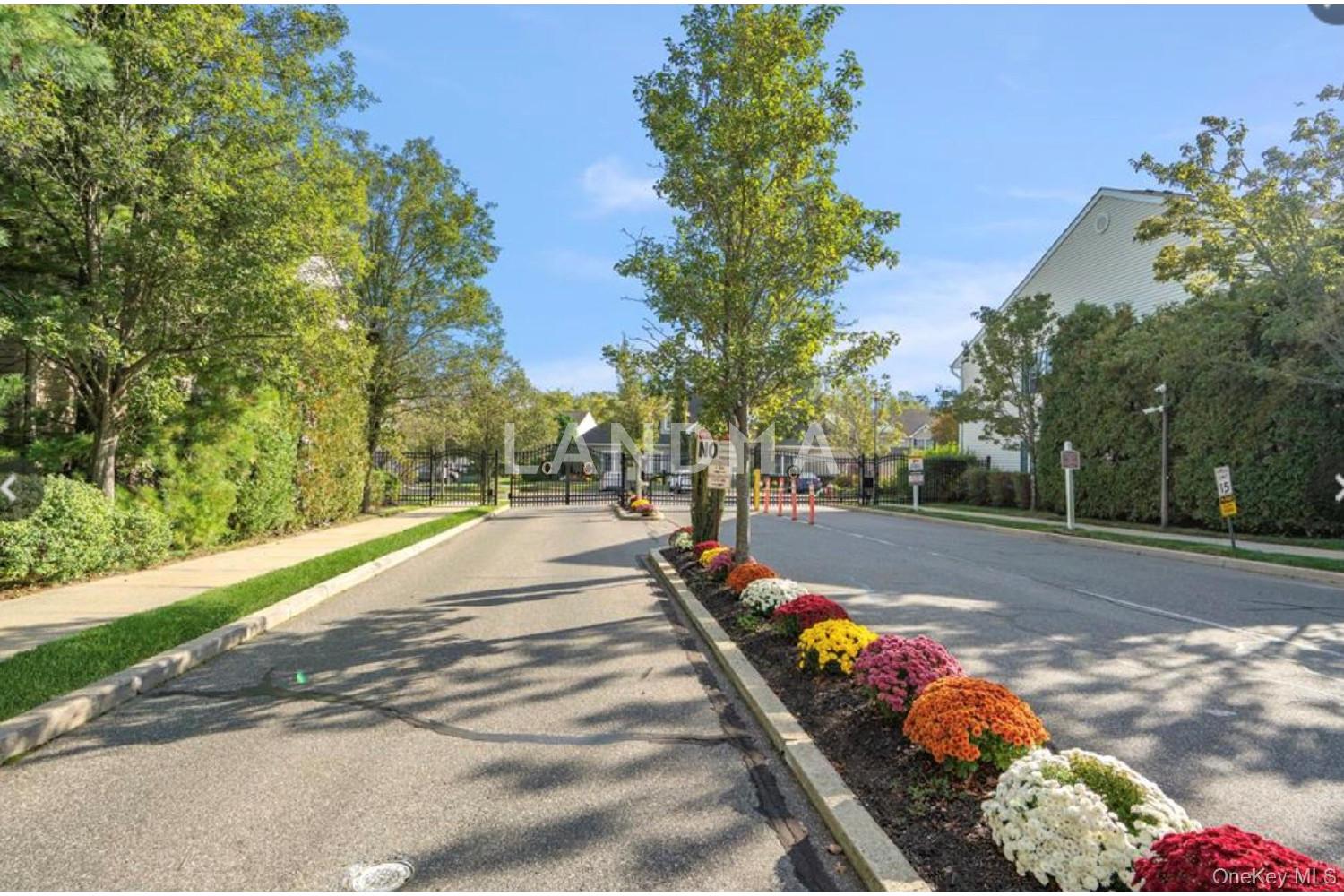 54 Morley Circle 官网图片 29