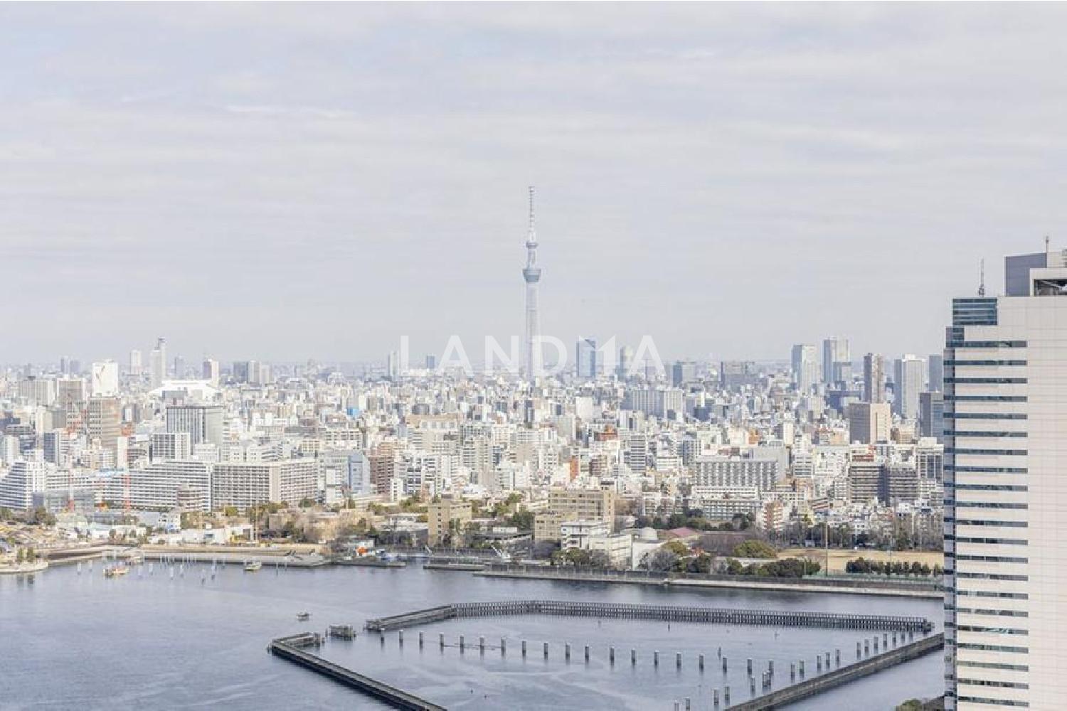 パークタワー晴海 官网图片 21