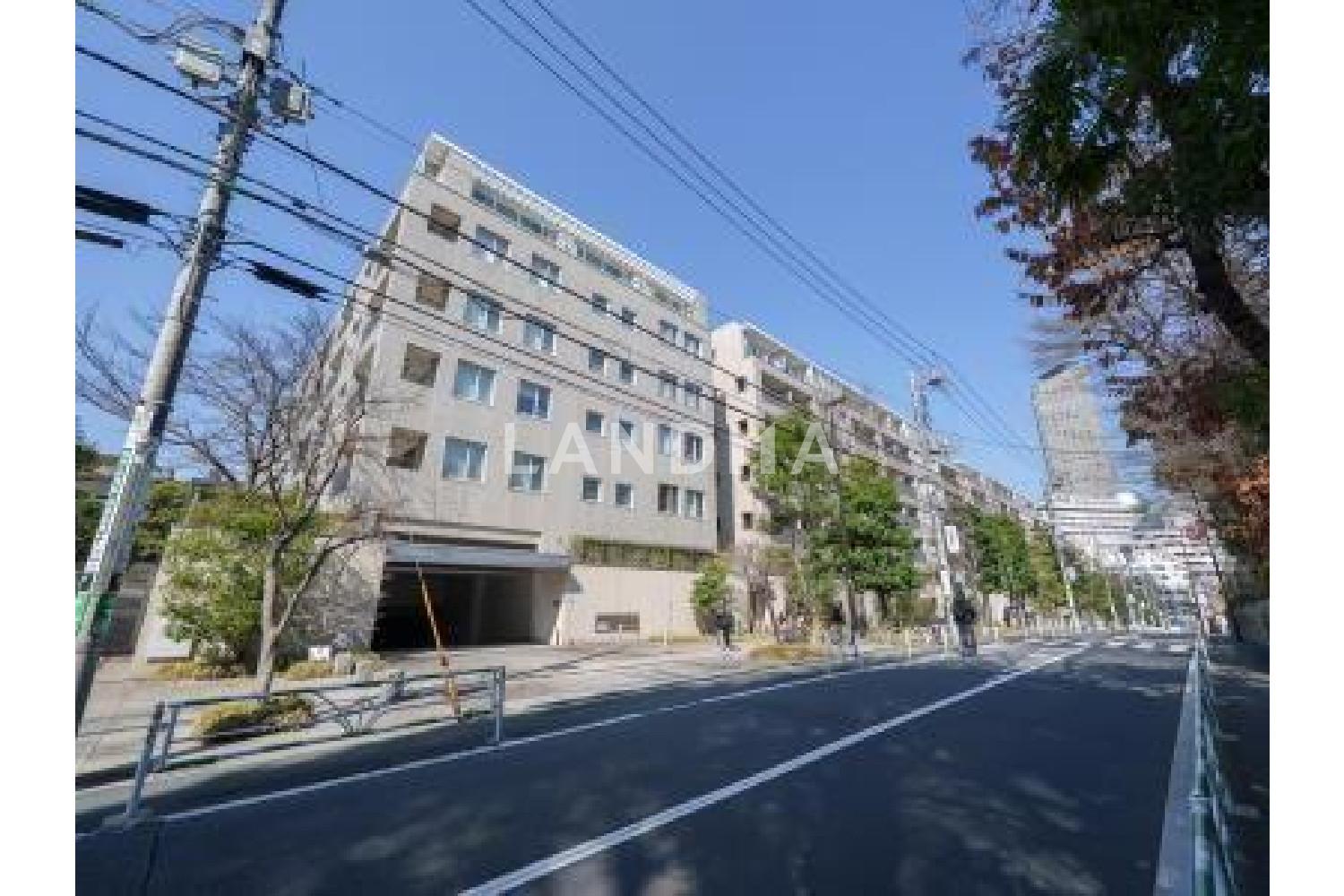 センチュリーフォレスト 官网图片 16