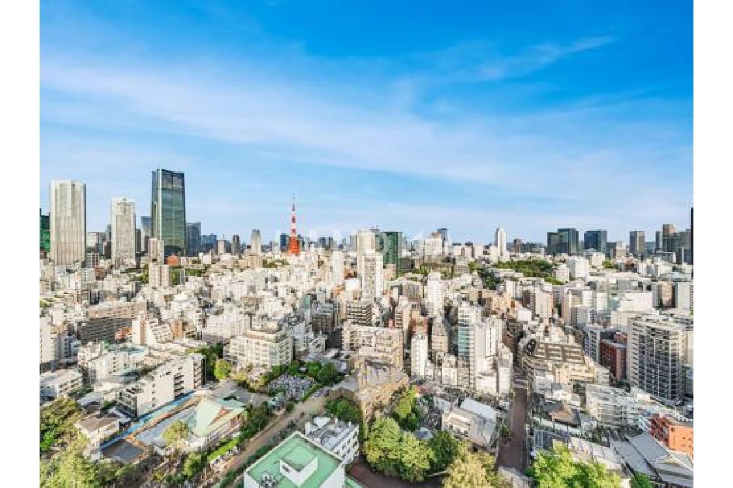 元麻布ヒルズ フォレストタワー 官网图片 11