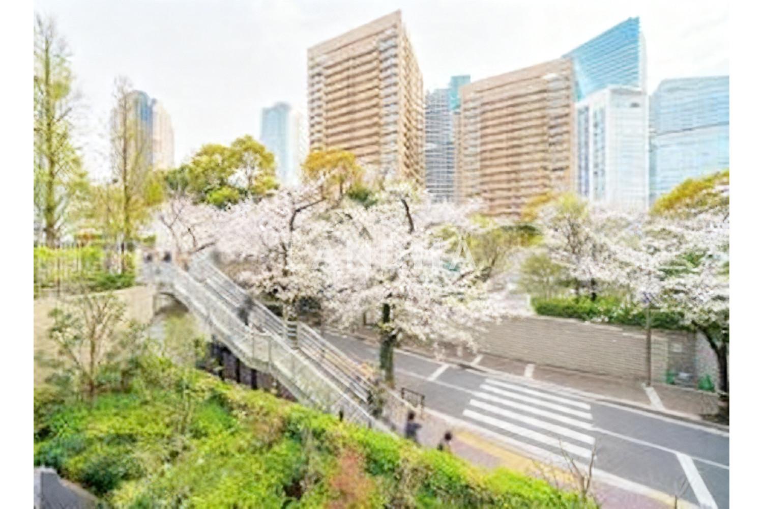 パークコート赤坂桜坂 官网图片 2