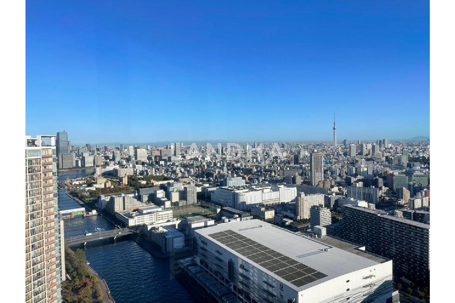 シティタワーズ豊洲　ザ・ツイン　ノースタワー 官网图片 8