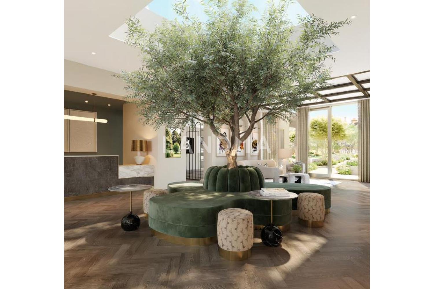 Chelsea Botanica 官网图片 4