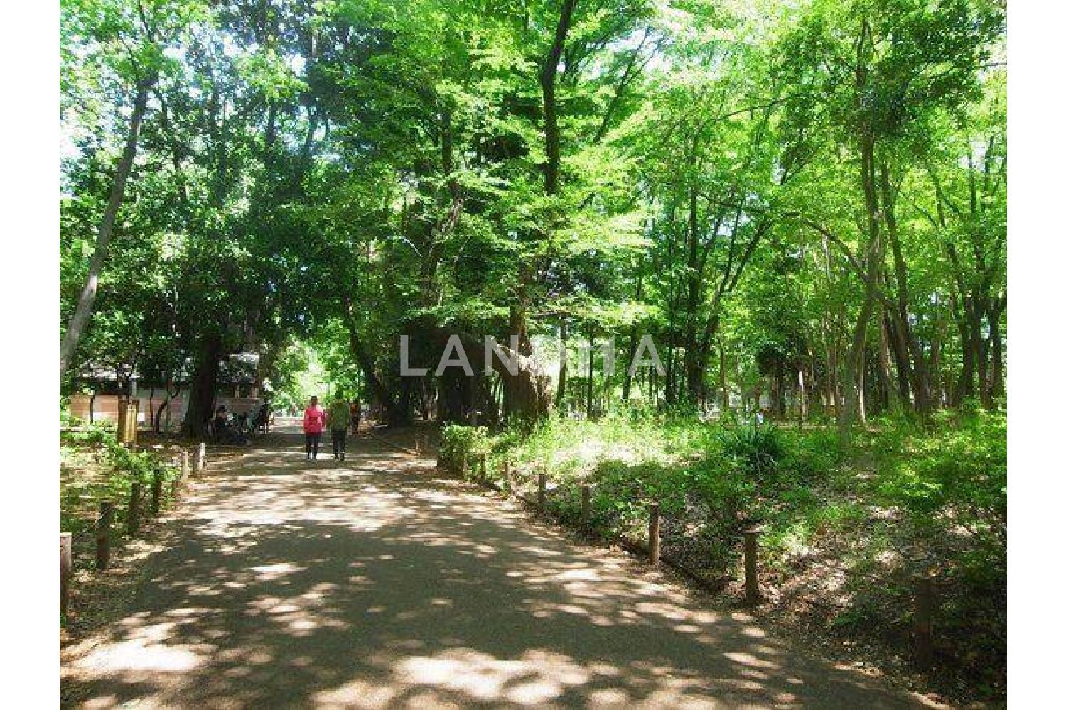 パークシティ武蔵小山ザタワー 官网图片 19