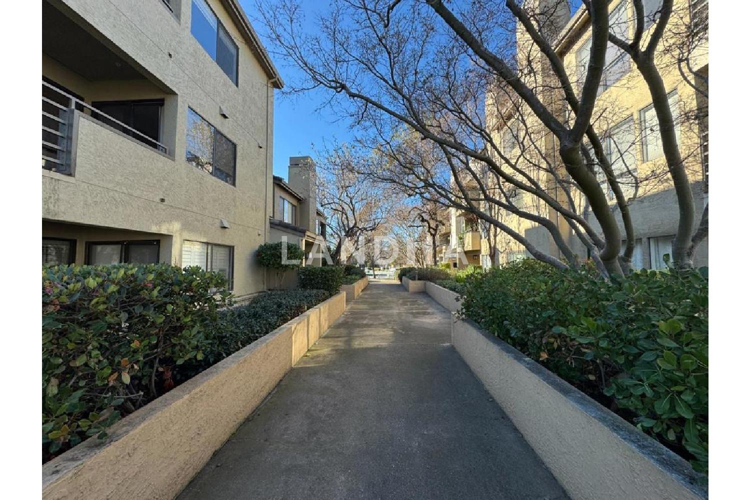 39034 Guardino Drive #206 官网图片 19