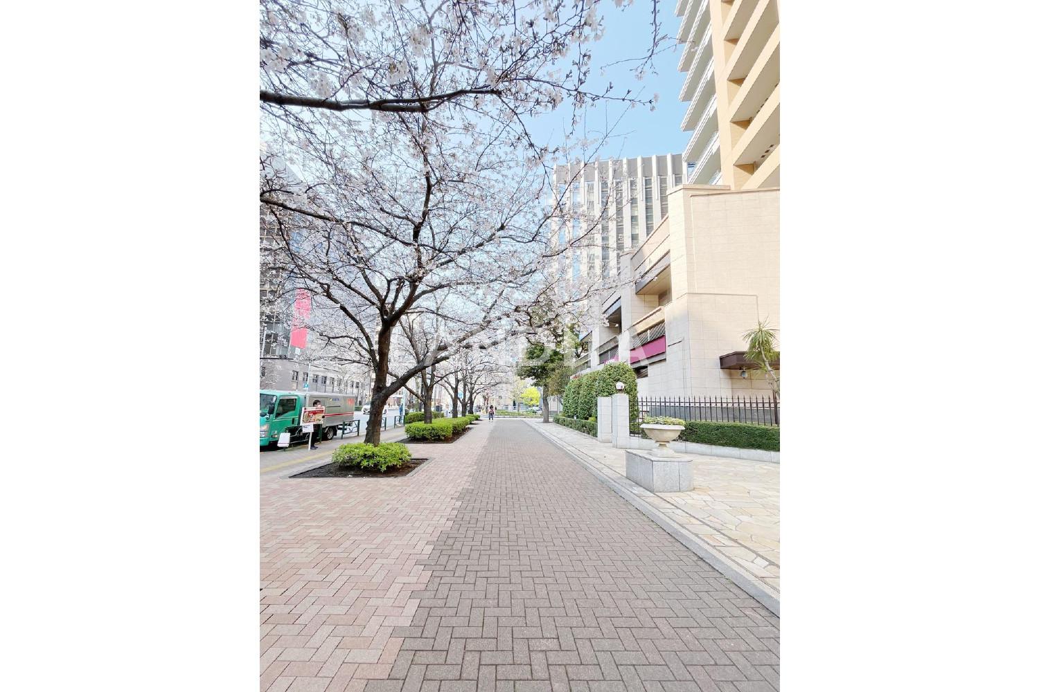 東京パークタワー 官网图片 12