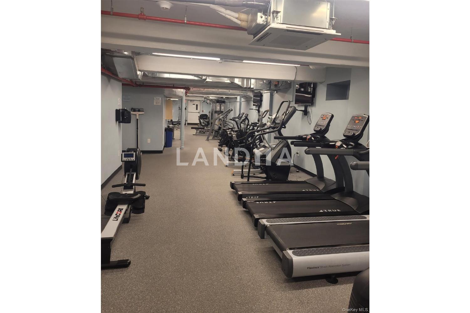 2 Richmond Road  Unit 4th Floor 官网图片 17