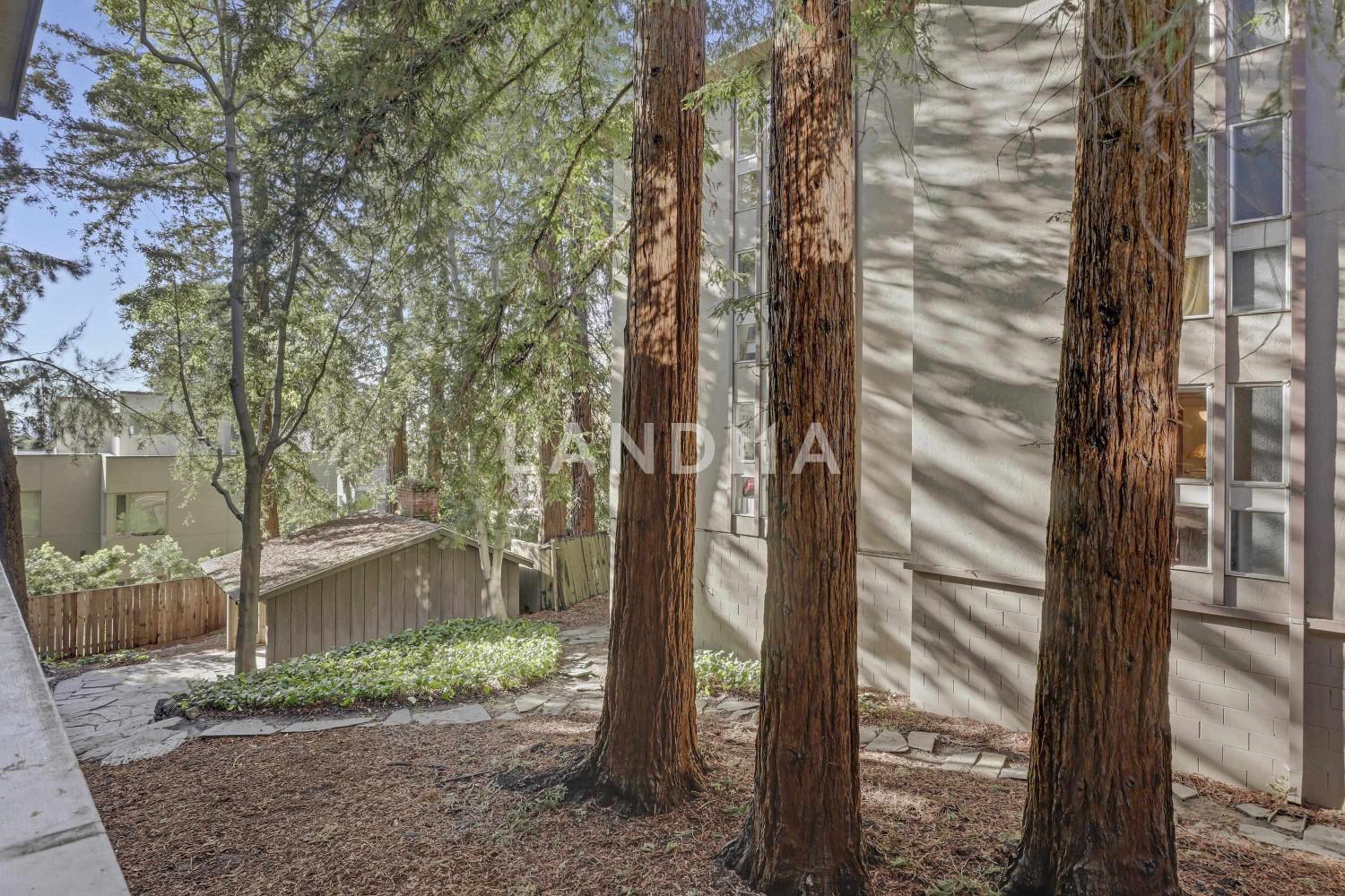 323 Monte Vista Ave #107 官网图片 28