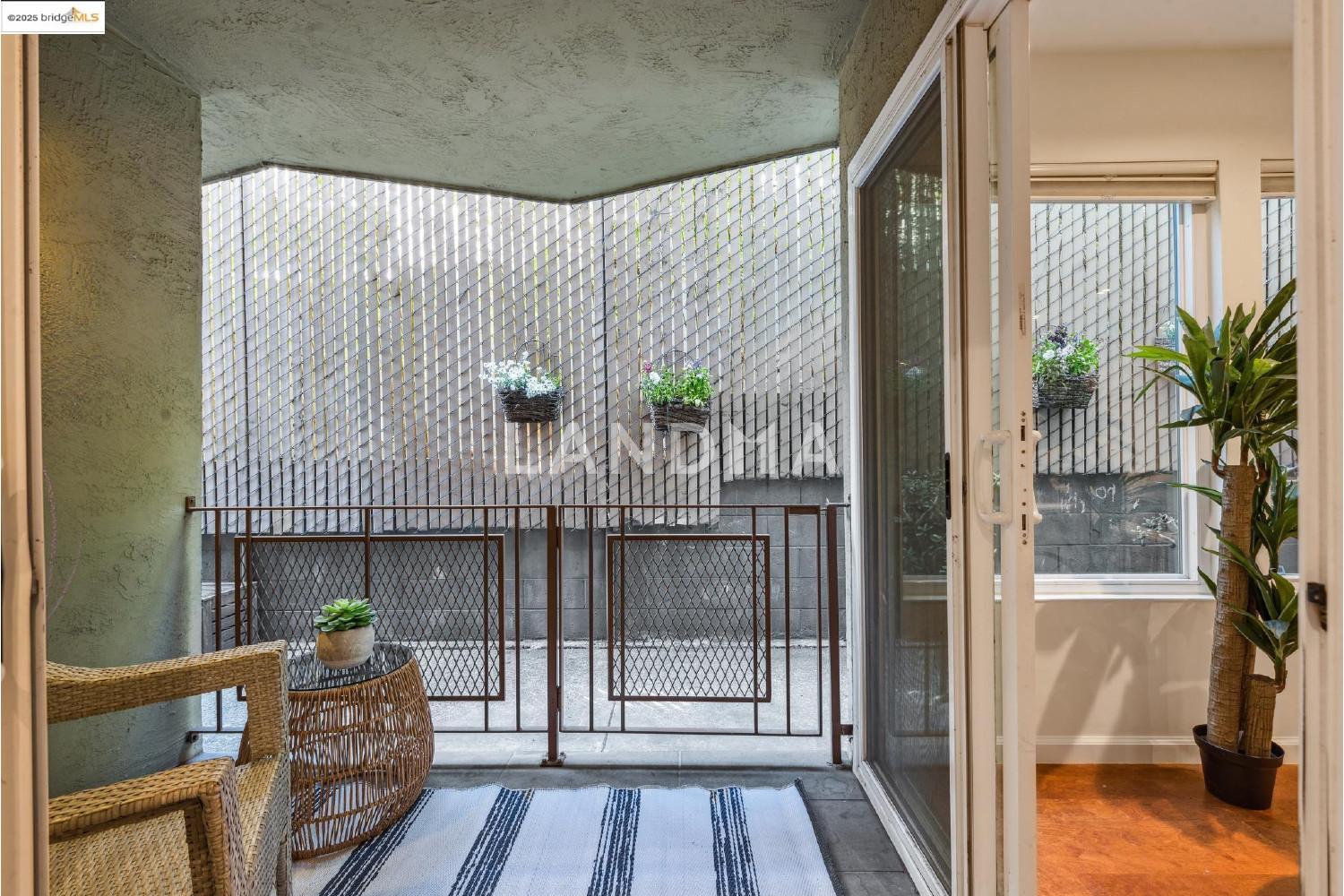 22 Moss Ave #107 官网图片 40