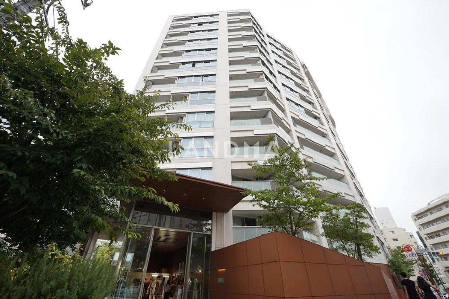 The Conoe 官网图片 7