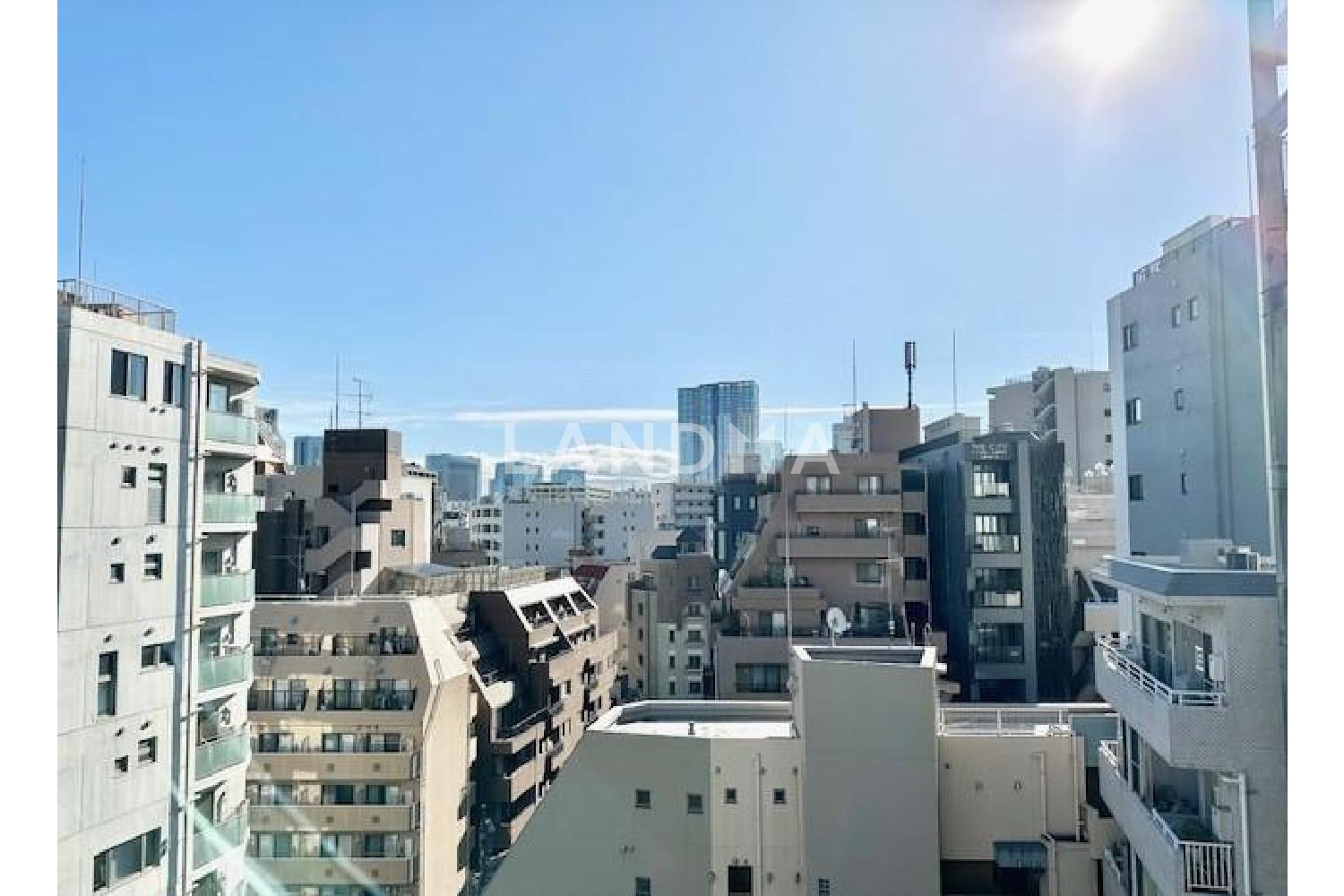 ライオンズマンション麻布十番南 官网图片 8