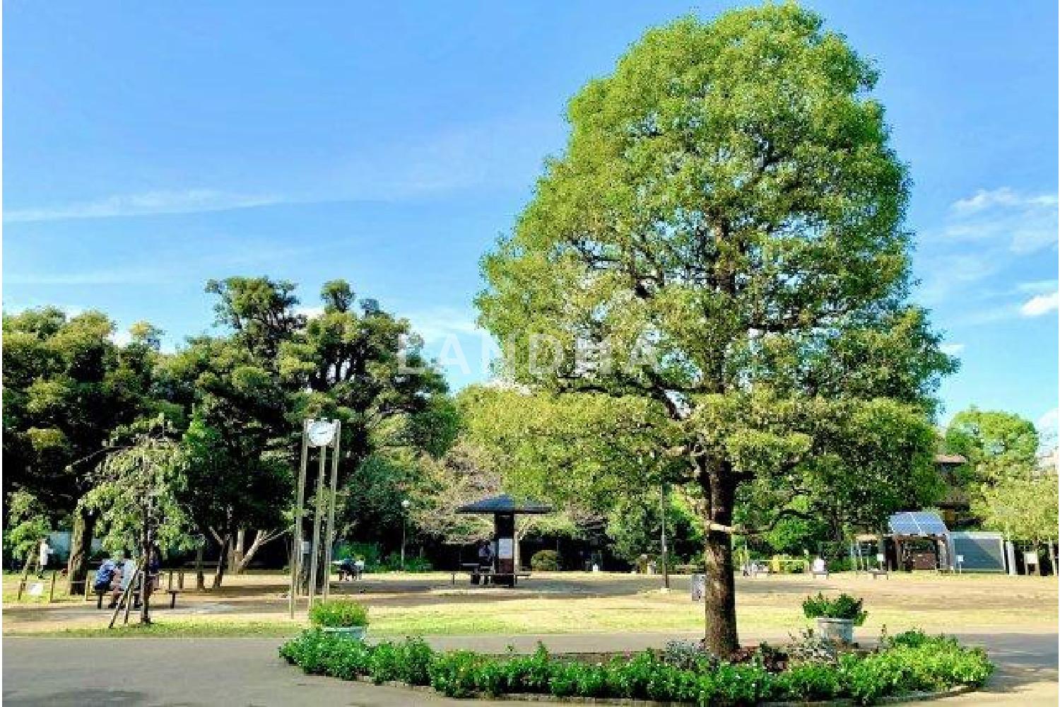 THE SANMAISON 官网图片 13