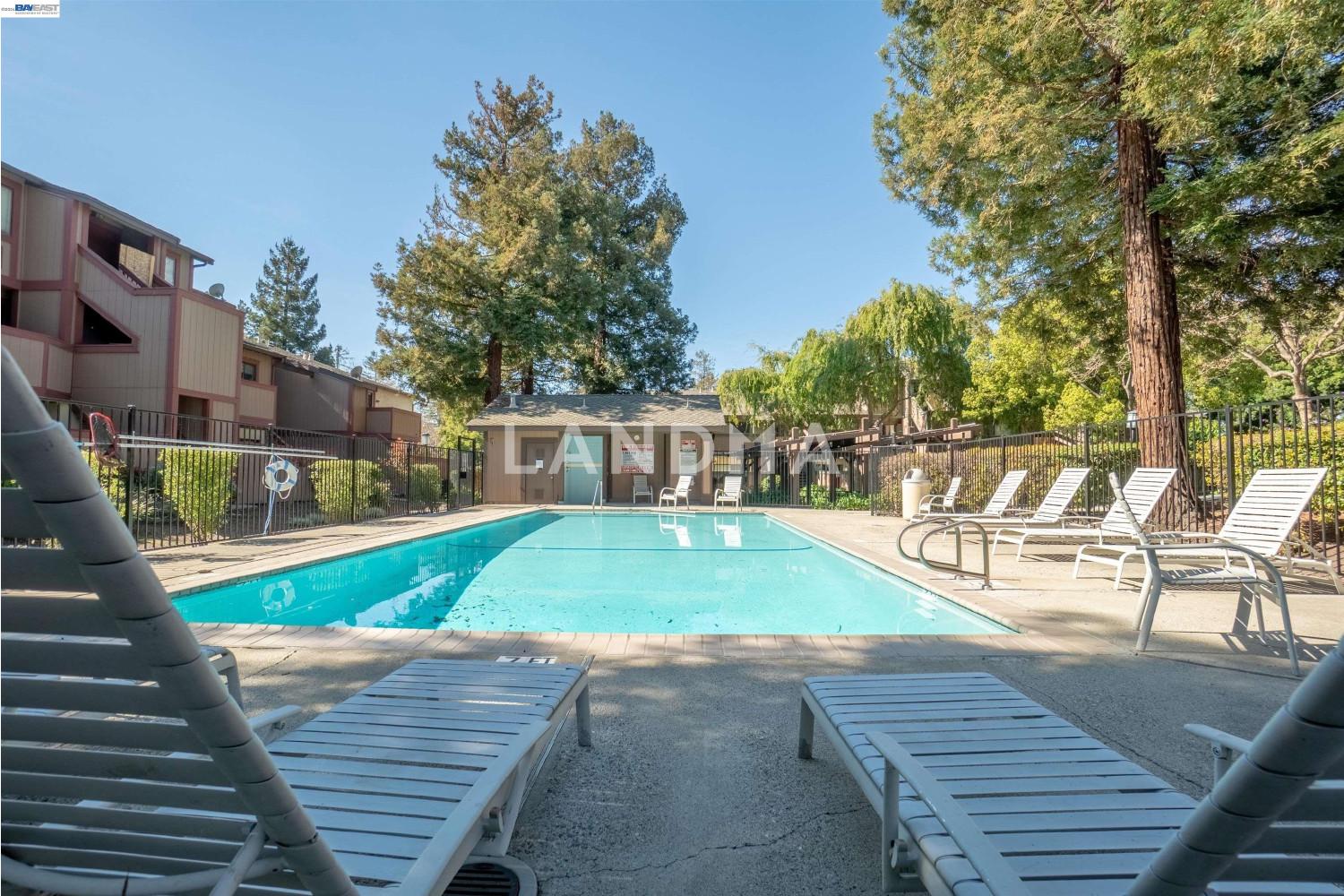 277 Hackamore Cmn 官网图片 21