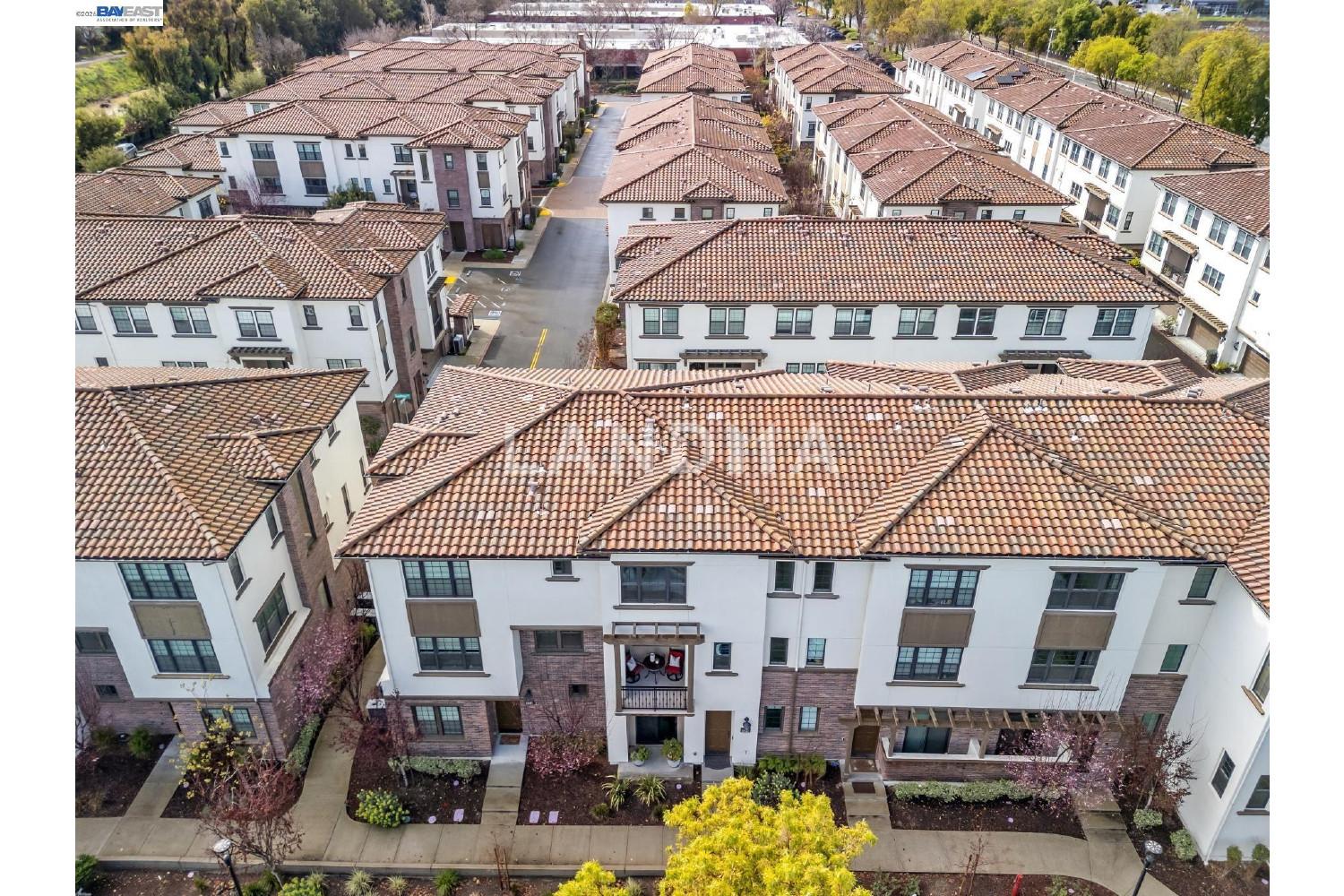 3460 Serra Cir 官网图片 48
