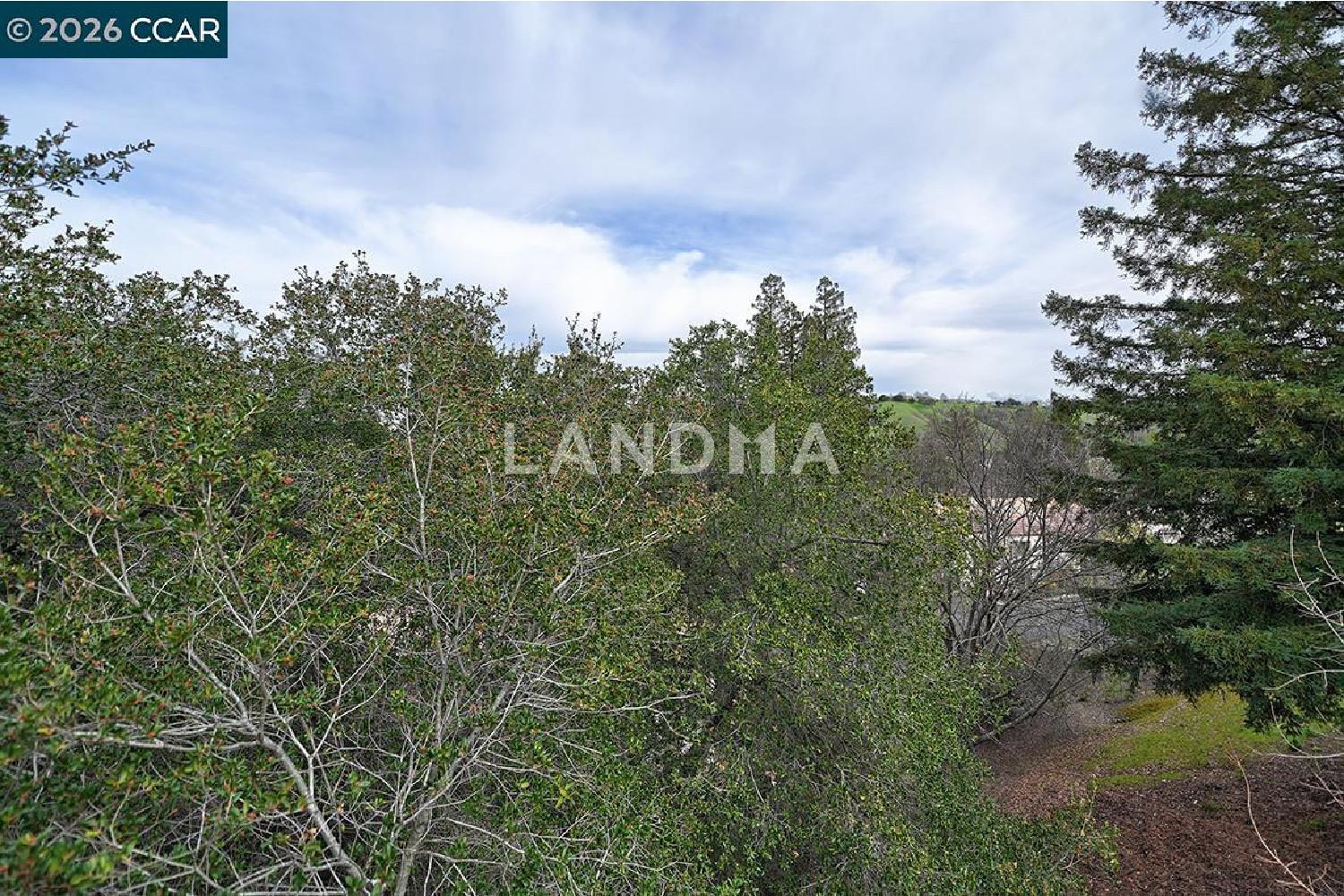 3852 Terra Granada Dr #2B 官网图片 13