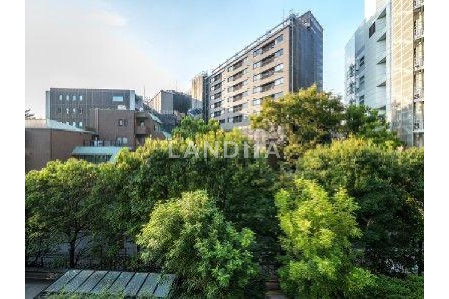 南青山テラス 常盤松フォレスト 官网图片 2