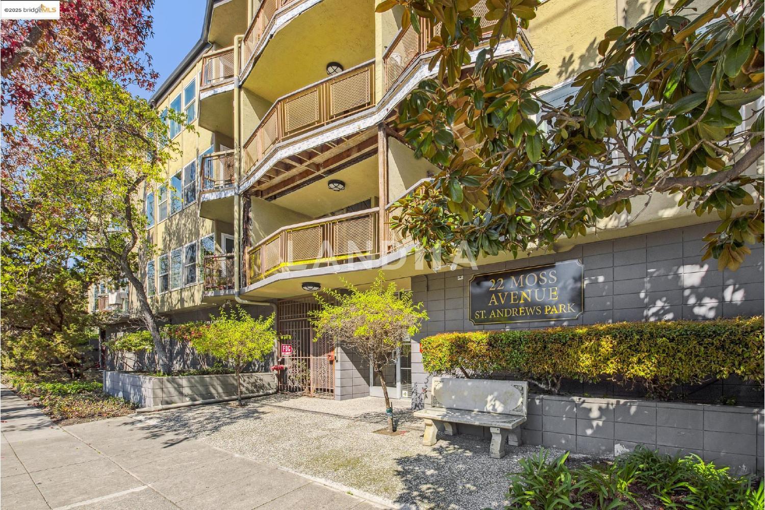 22 Moss Ave #107 官网图片 4