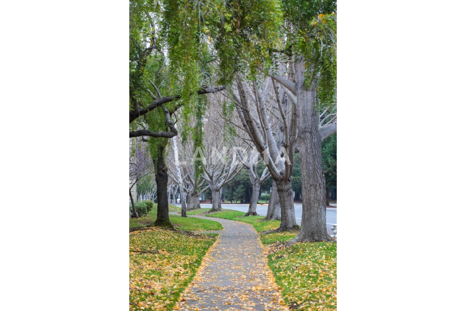 905 W Middlefield Road #917 官网图片 22