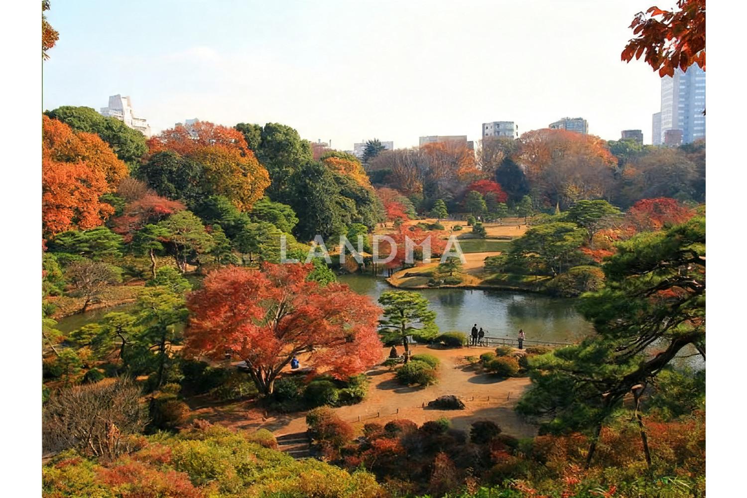 藤和シティホームズ六義園 官网图片 8