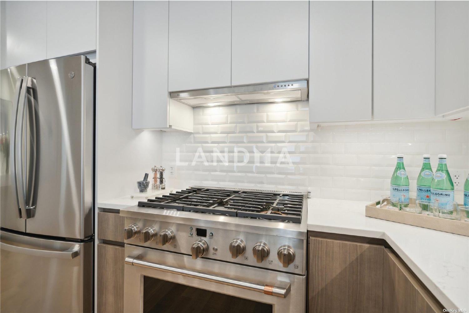218 Middle Neck Road Unit 110 官网图片 19