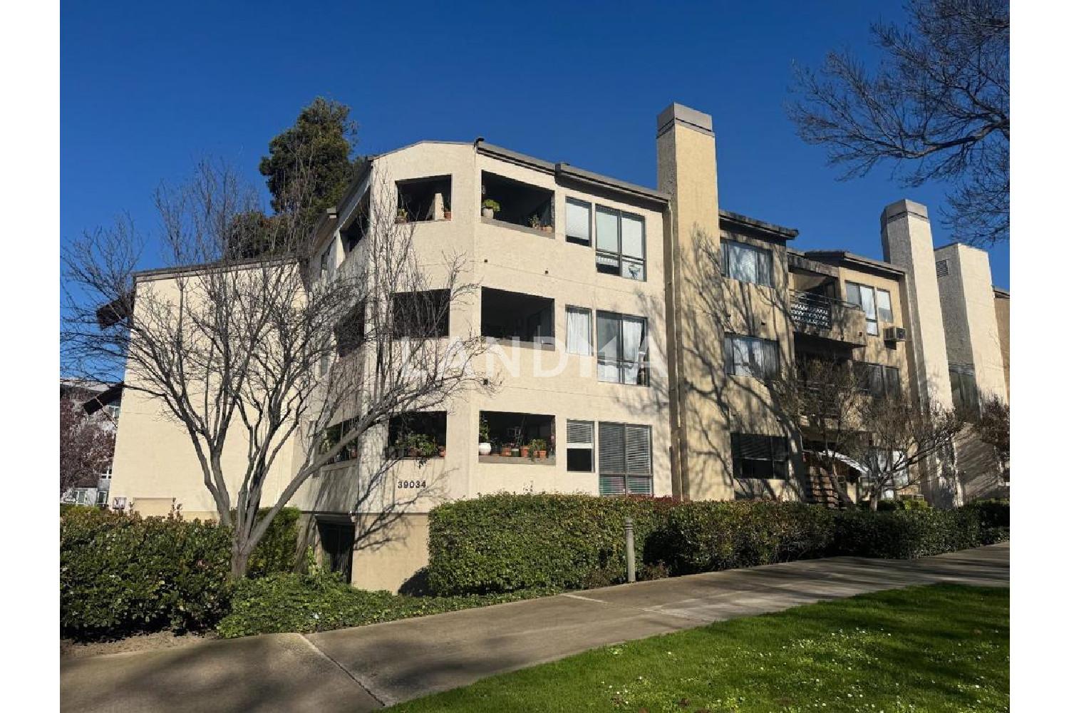 39034 Guardino Drive #206 官网图片 17