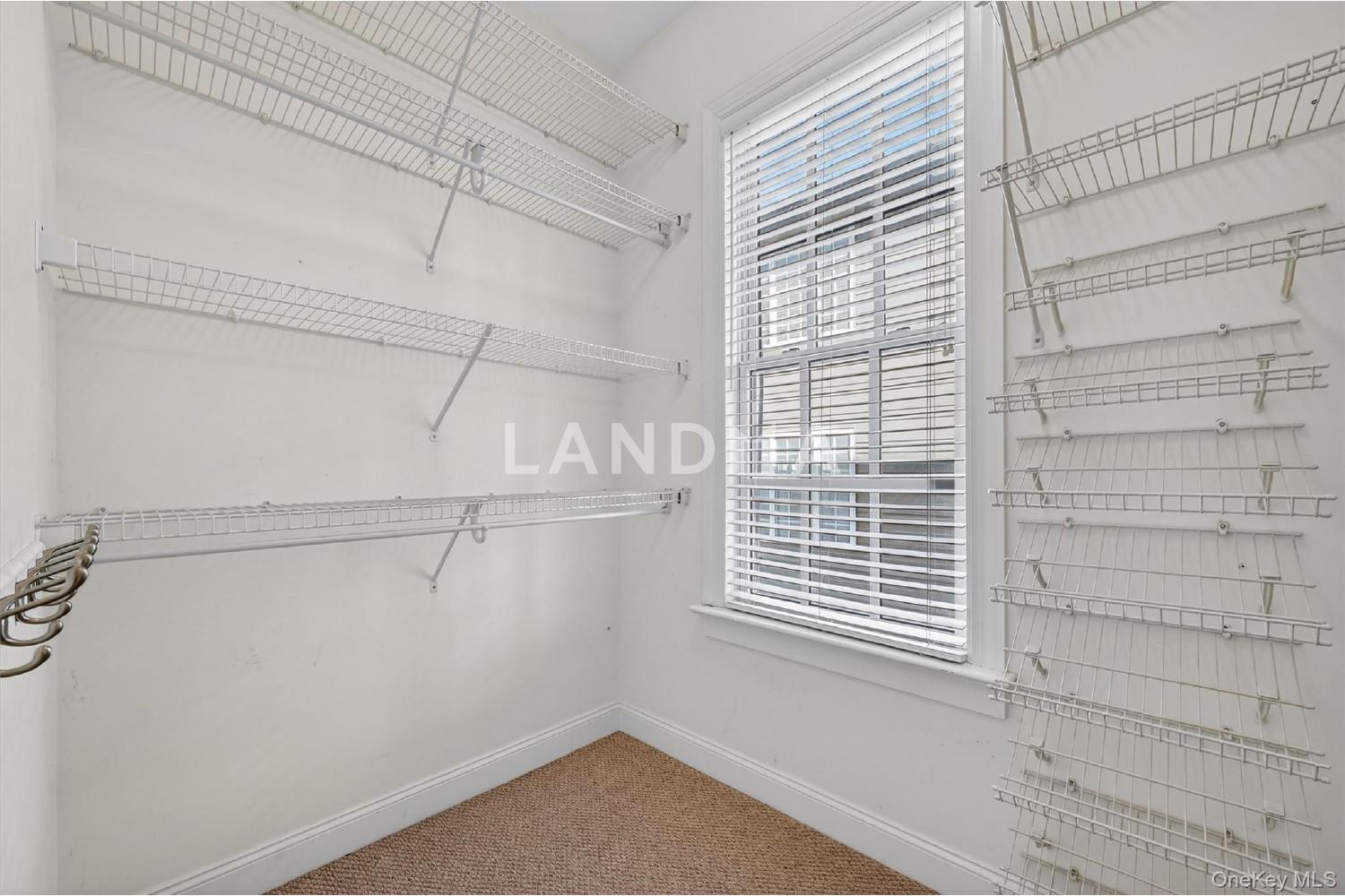 17 Cropsey Street  Unit 1D 官网图片 26
