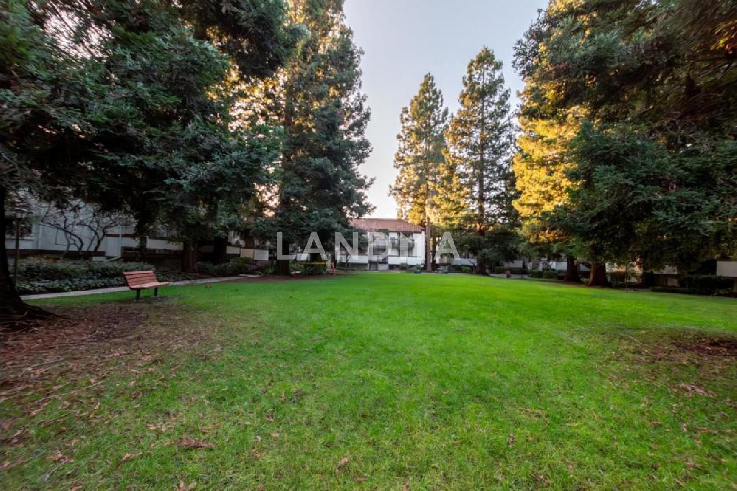 703 San Conrado Terrace #6 官网图片 34