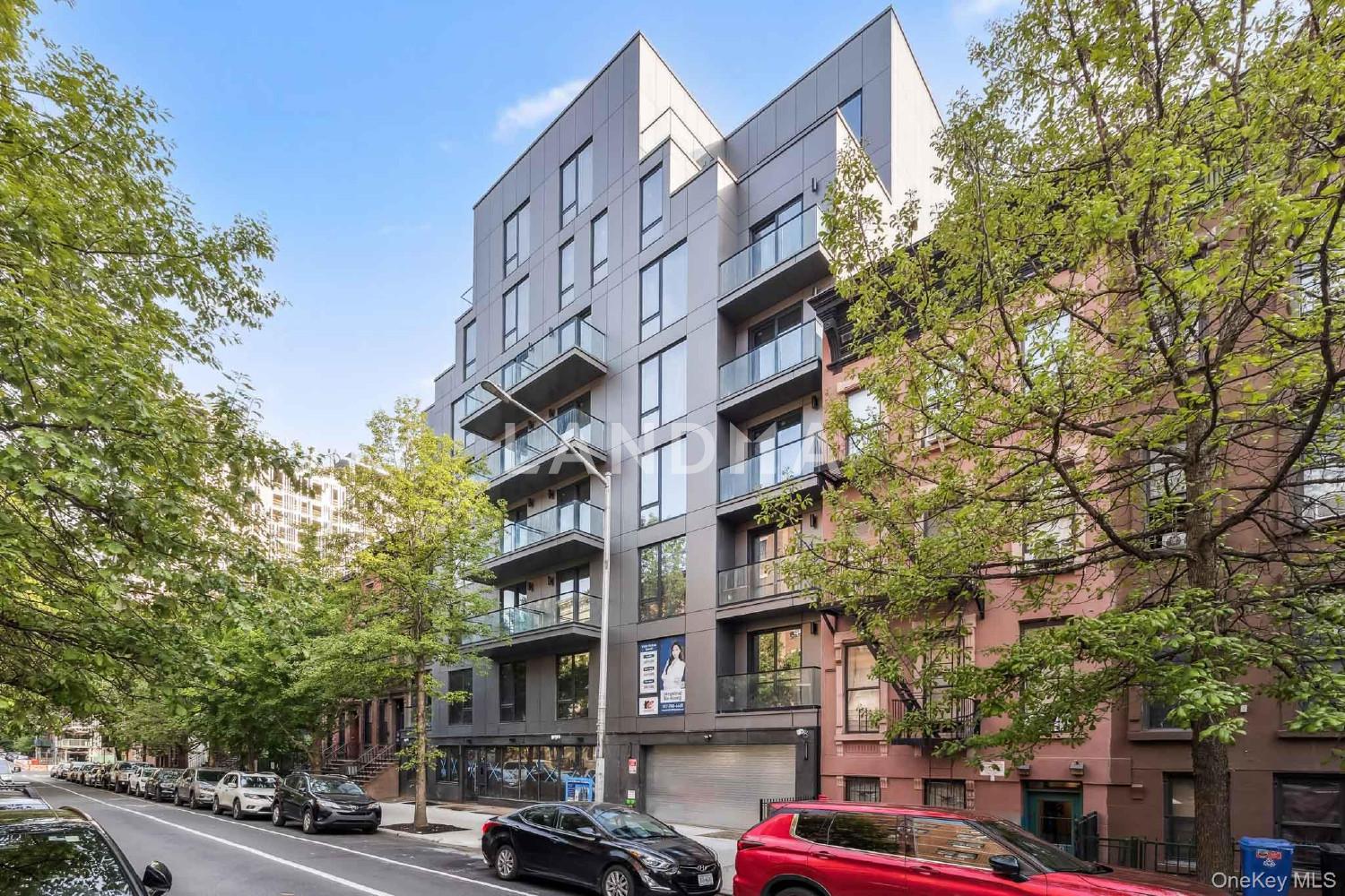 168 E 111th Street  Unit 1A 官网图片 2
