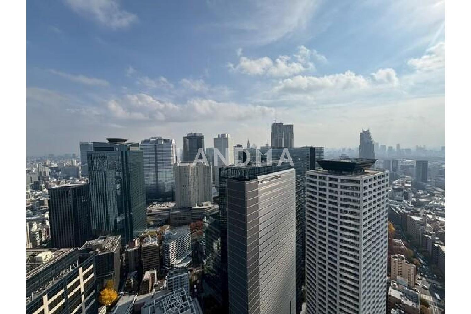 ザ・パークハウス西新宿タワー60 官网图片 8