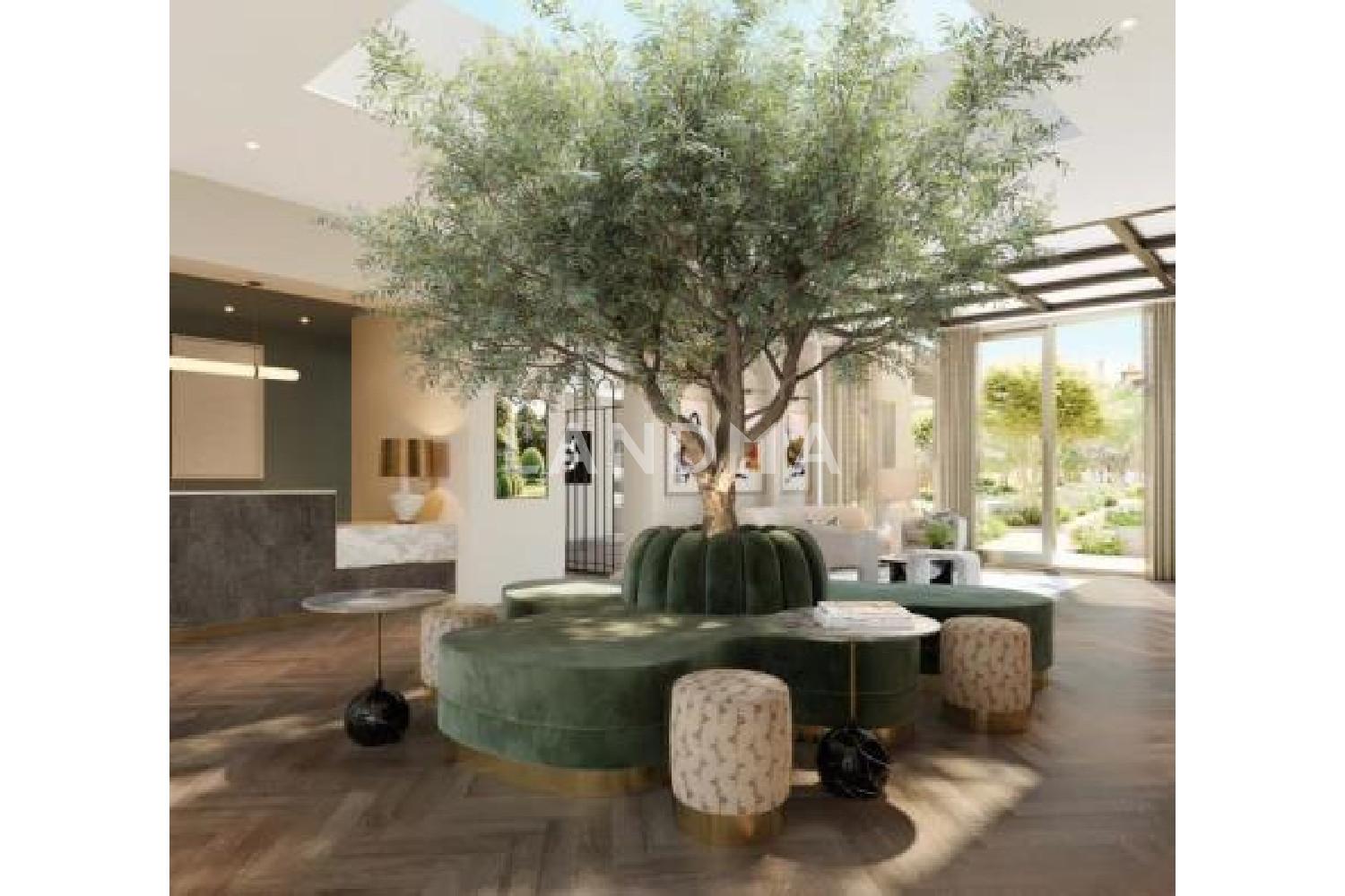 Chelsea Botanica 官网图片 5