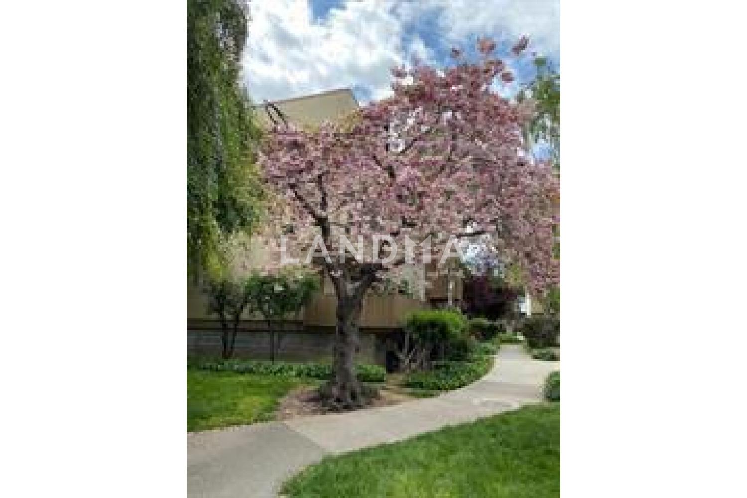 4415 Norwalk Drive #3 官网图片 26