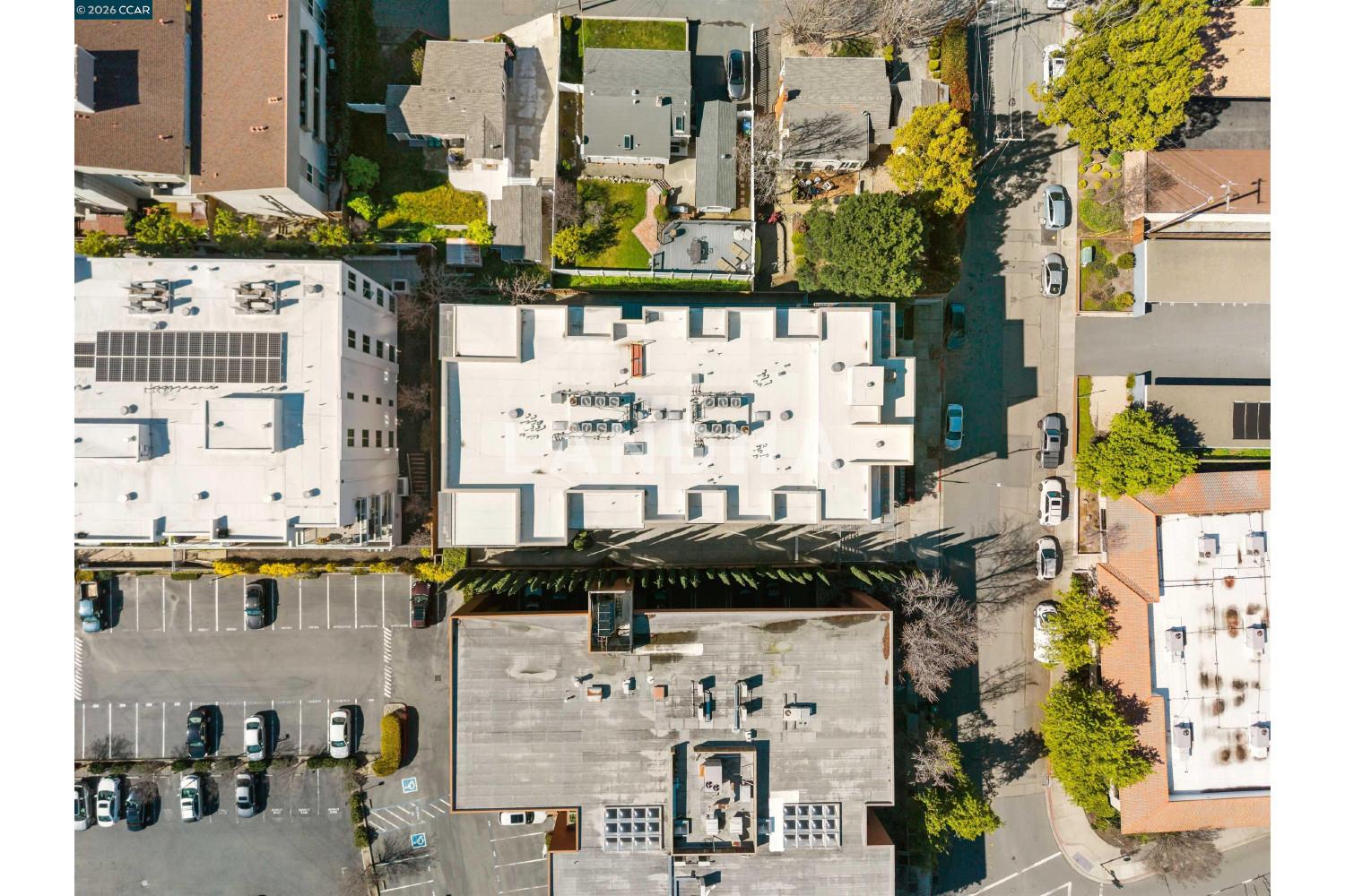 1727 Lacassie Ave #4B 官网图片 55