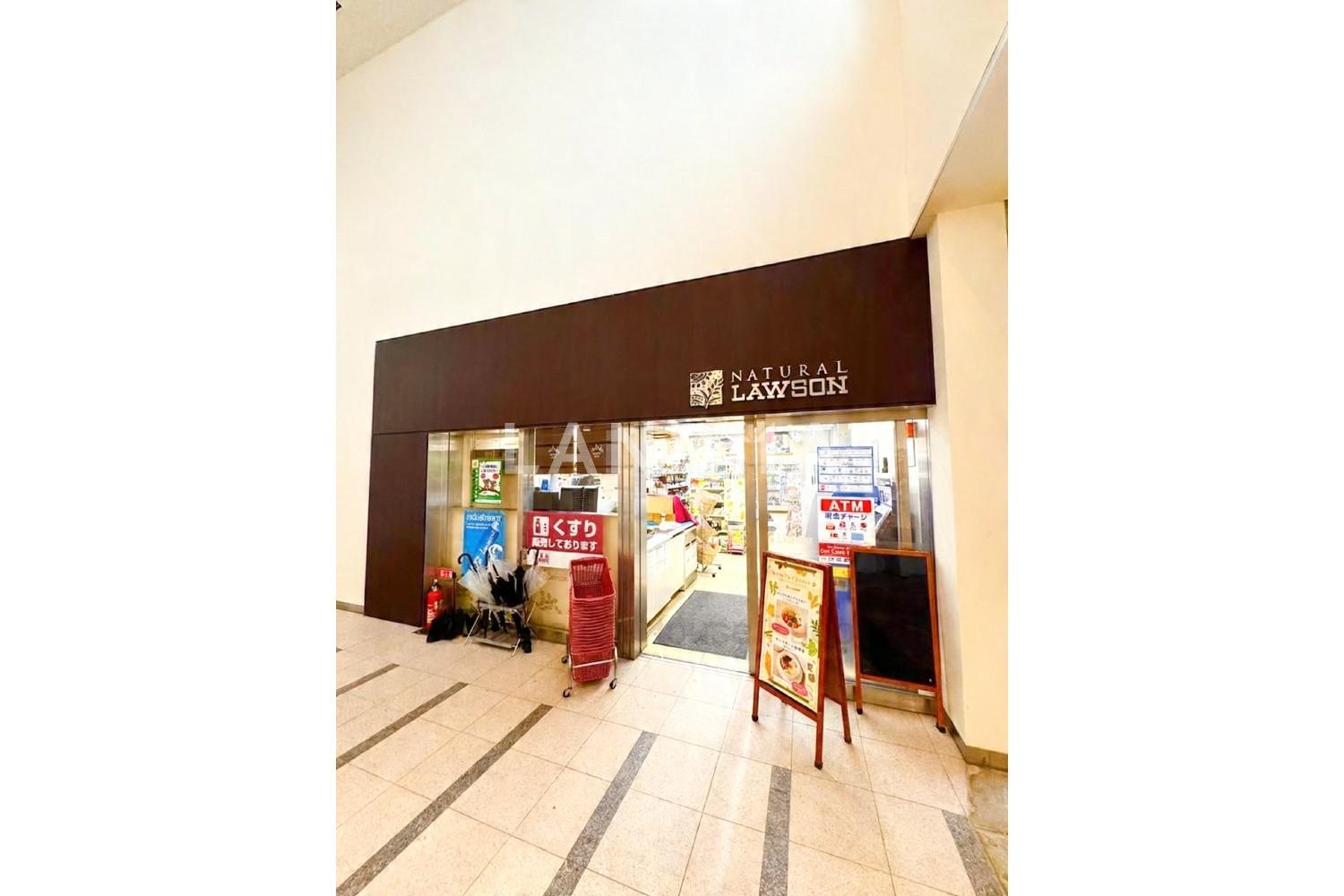 芝浦アイランドケープタワー 官网图片 16