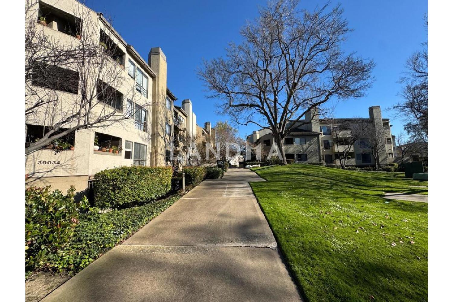 39034 Guardino Drive #206 官网图片 18