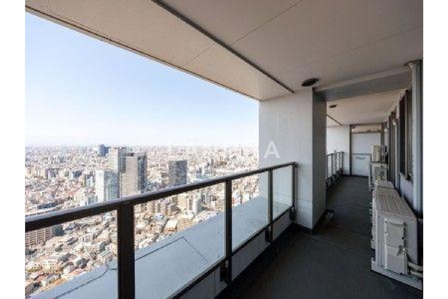 ザ・パークハウス西新宿タワー60 官网图片 11