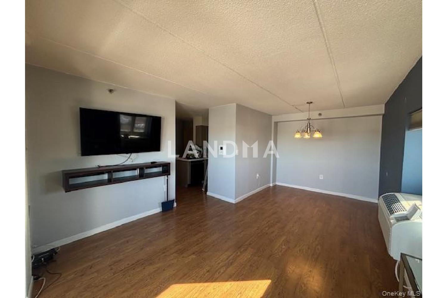 205 Mineola Boulevard  Unit 4D 官网图片 5