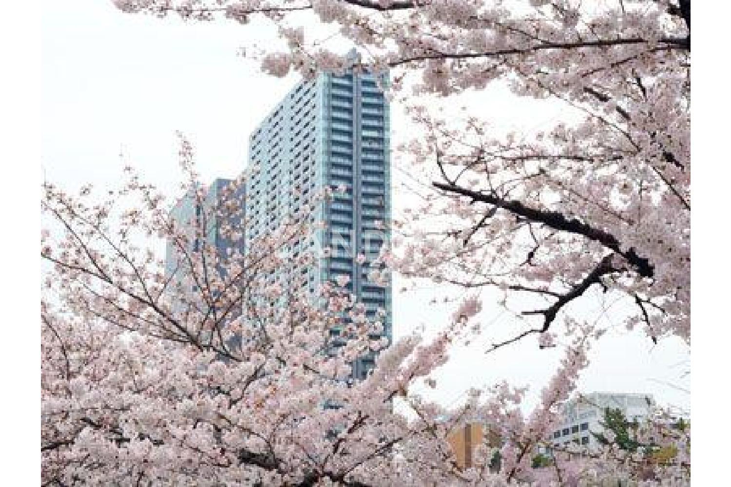 パークコート千代田富士見ザタワー 官网图片 6