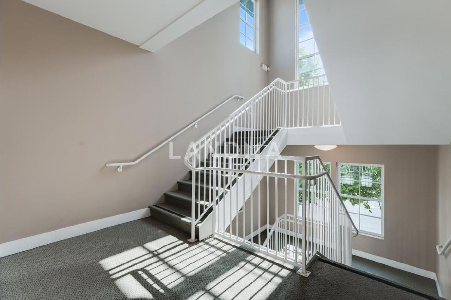 708 Frederick Street #204 官网图片 27