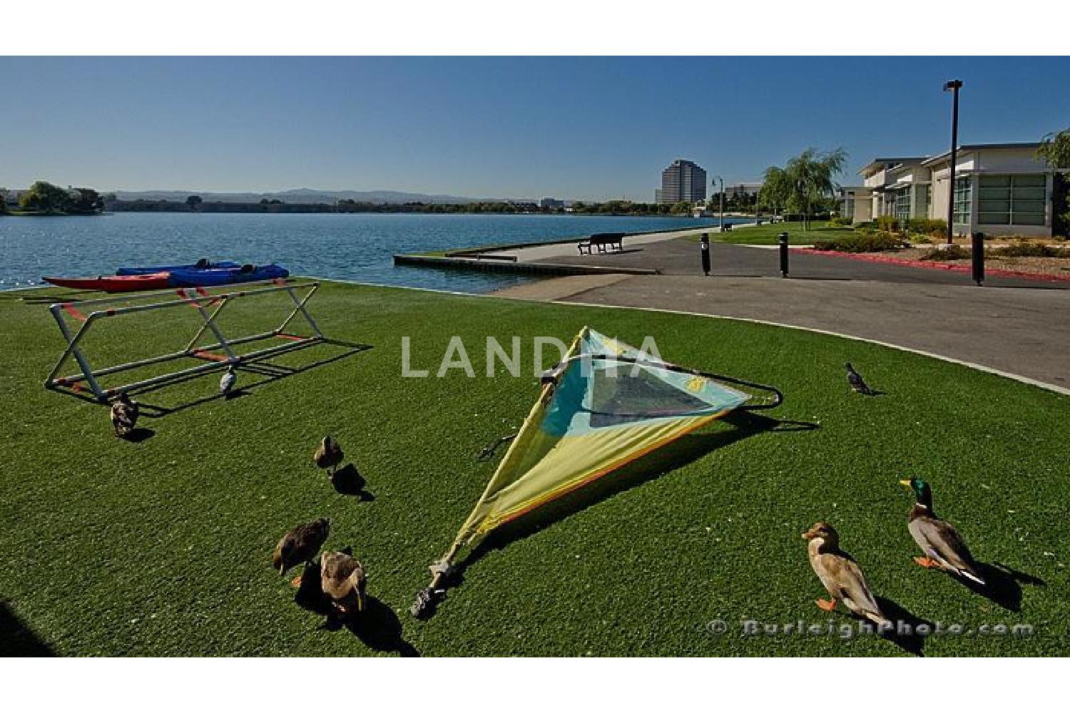 916 Beach Park Boulevard #65 官网图片 35