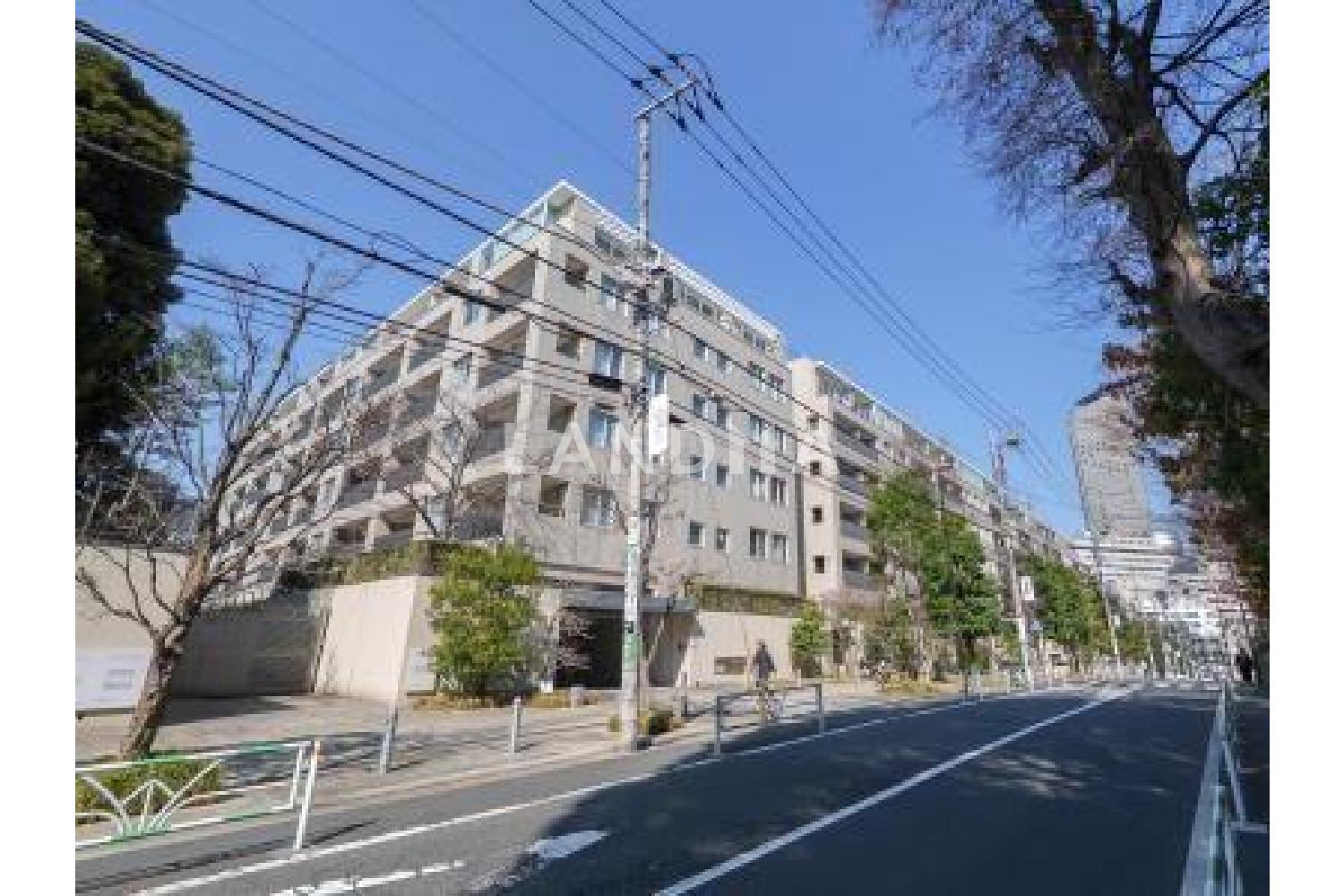 センチュリーフォレスト 官网图片 11