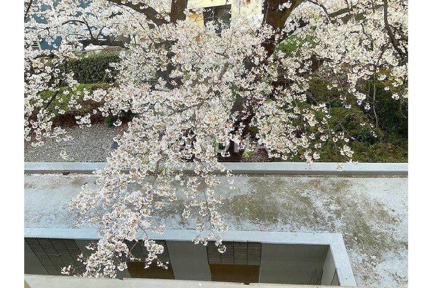 ライオンズ浜田山セントマークス 官网图片 17