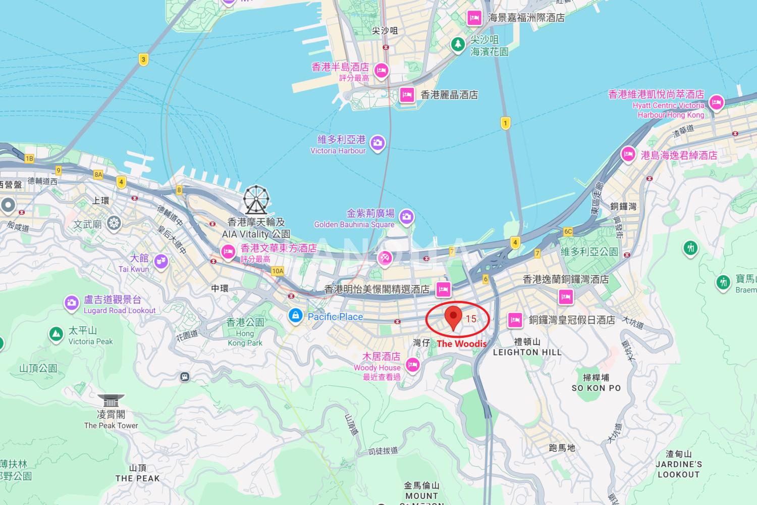 Woodis 官网图片 2
