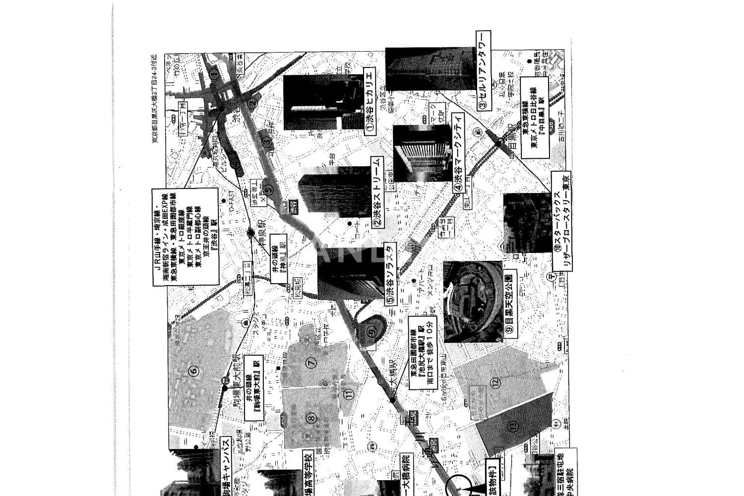 NOVEL WORK Sangenjaya 官网图片 8