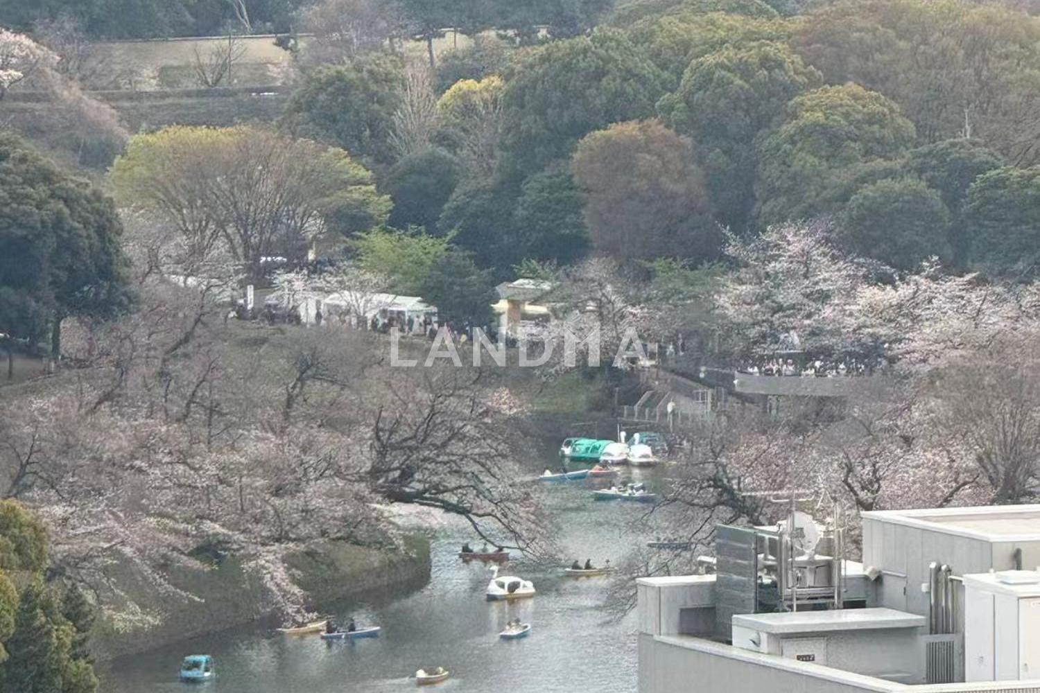 ブランズ千代田富士見 官网图片 10
